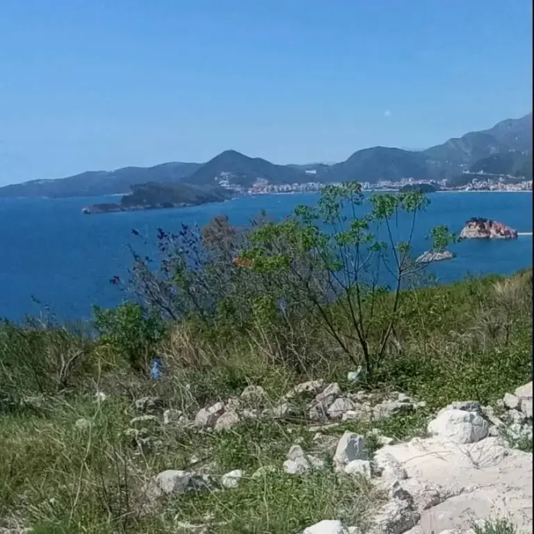 Zauzima povrsinu od 1126m2