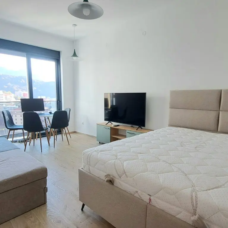 Dnevni boravak sa spavacim dijelom