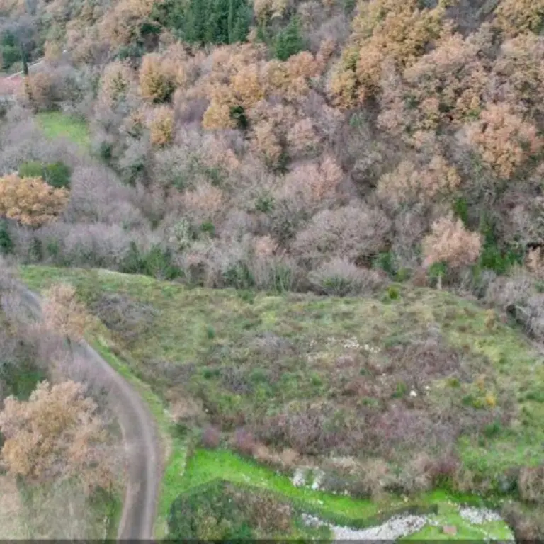 Zemljiste se nalazi uz sami put