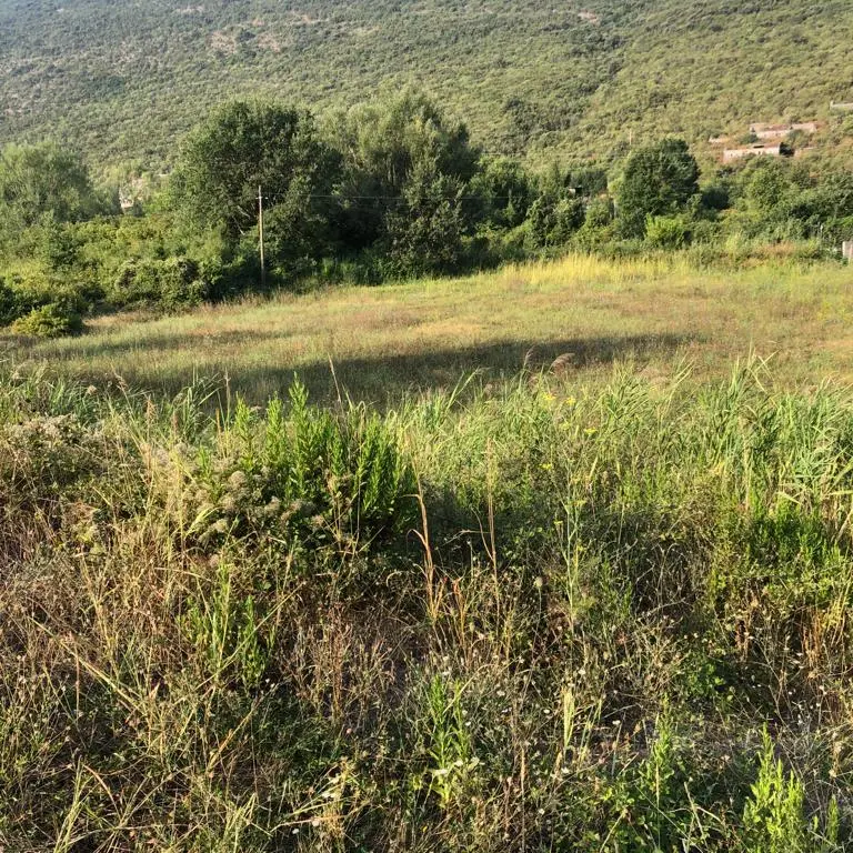 Posjeduje UTT uslove za izgradnju stambenog objekta na tri etaze