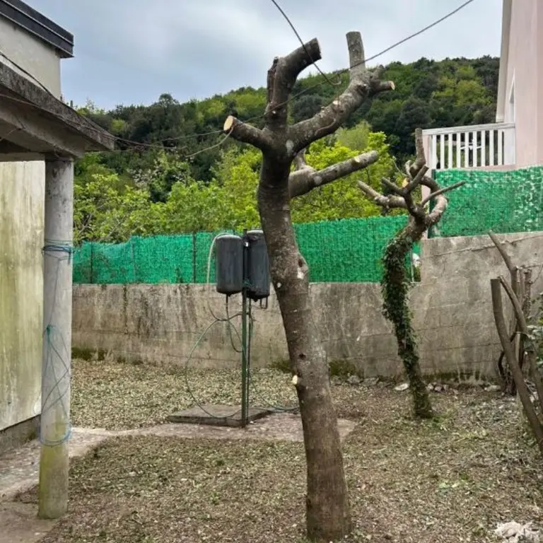 Posjeduje dvoriste povrsine 233m2