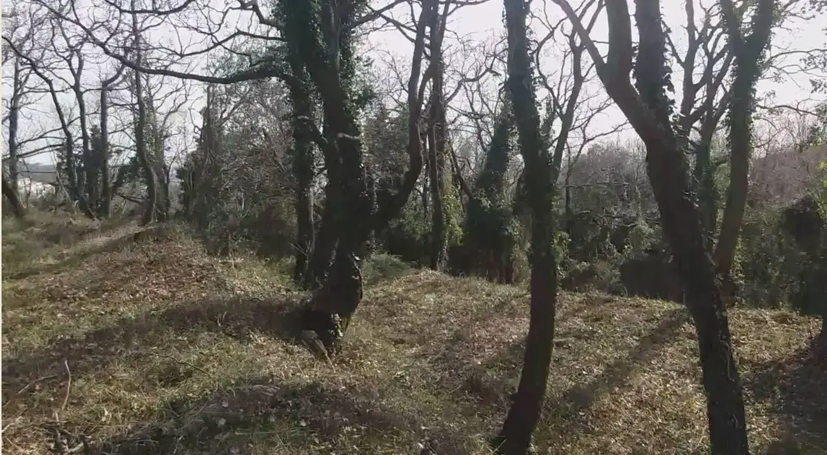 Zauzima povrsinu od 975m2