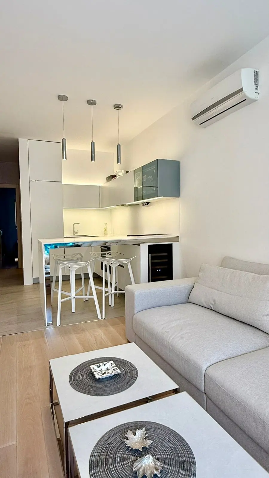 Dnevni boravak sa kuhinjom