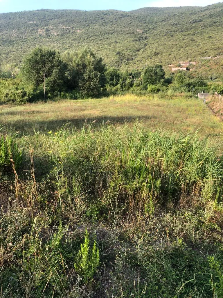 Zauzima povrsinu od 1443m2