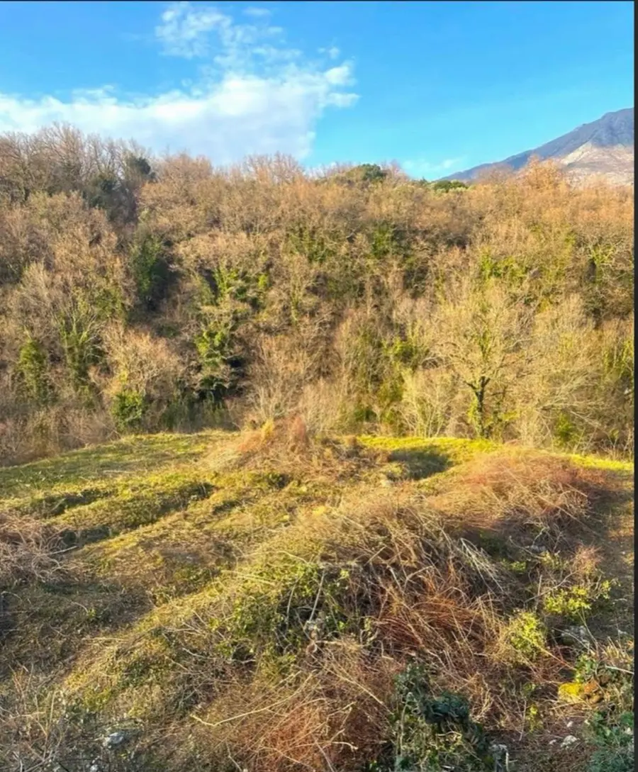 Zauzima poivrsinu  2420m2